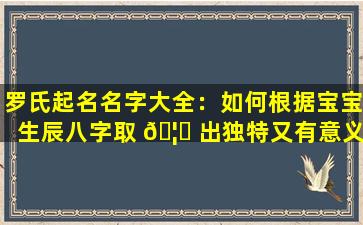 罗氏起名名字大全：如何根据宝宝生辰八字取 🦉 出独特又有意义的名字
